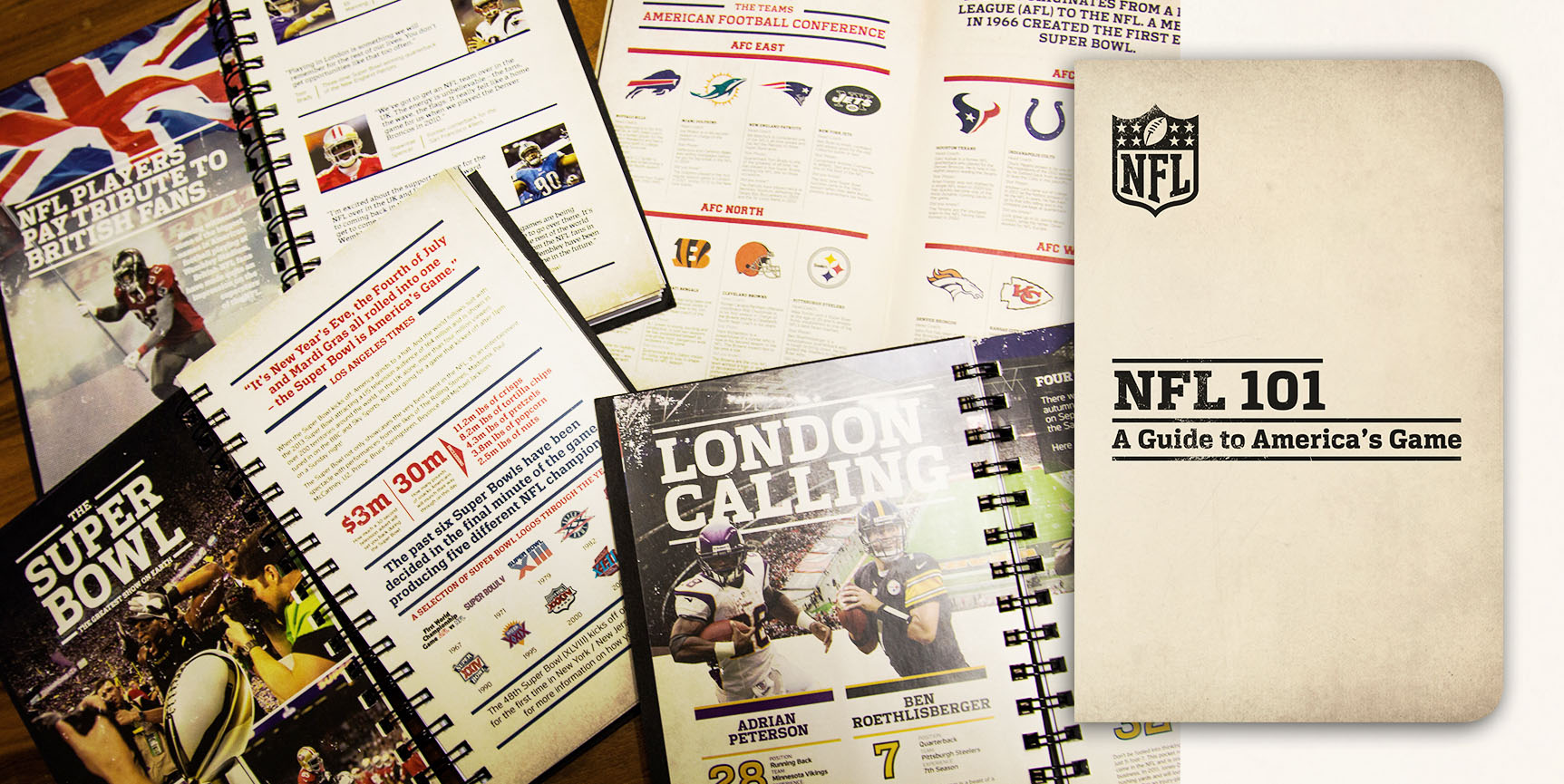 NFL 101 Book