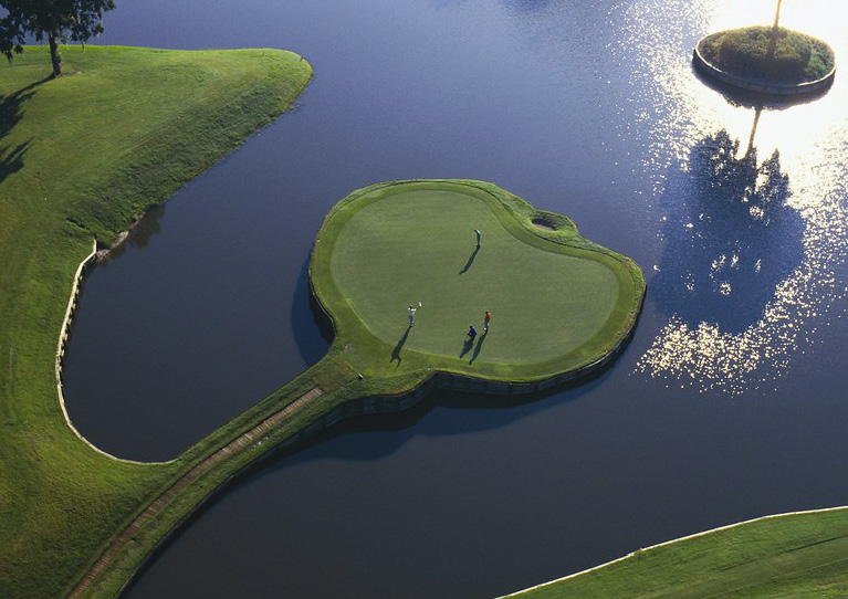 Sawgrass_green